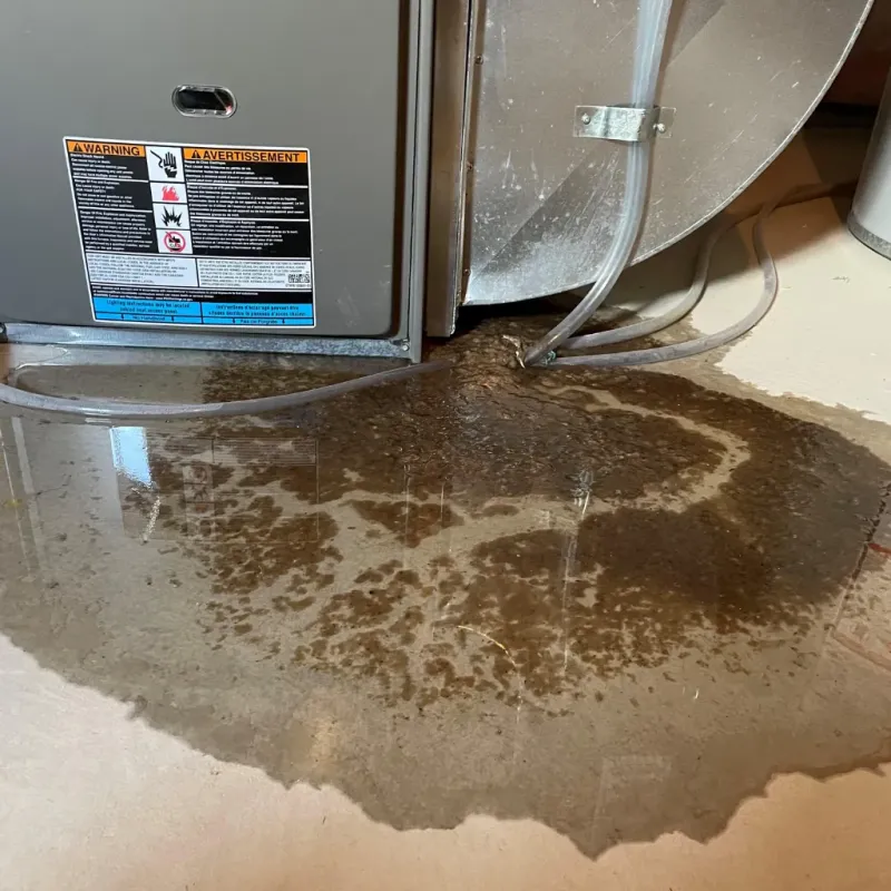 Appliance Leak Cleanup in Fort Payne, AL